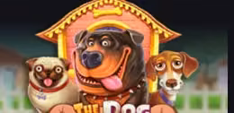 The dog house